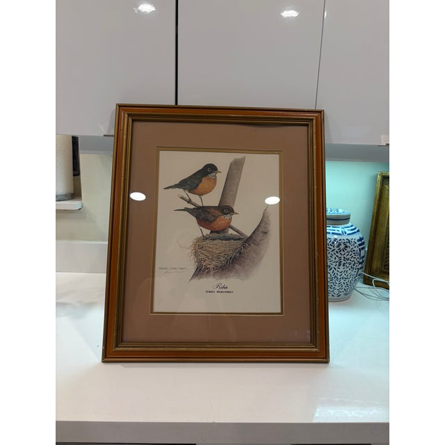 Vintage Robin Bird Reproduction Print Michael James Riddet Ornithology Wall Art Wood Frame For Sale - Image 14 of 14