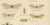 Richard Tümpel, Antique Entomology, 1908, Lithograph, Set of 2 For Sale - Image 6 of 11