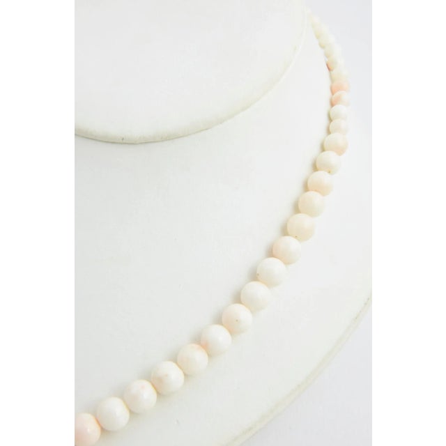 Mid 20th Century Graduated Angel Skin Coral Bead Necklace For Sale - Image 5 of 8