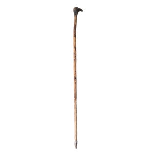 Late 19th Century French Oak Cane With Carved Bird Head Handle For Sale