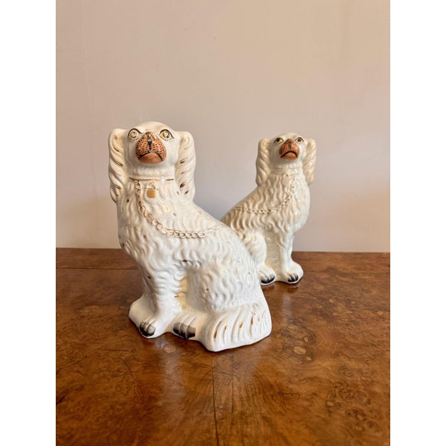 Wonderful pair of antique Victorian Staffordshire dogs, having a pair of seated spaniels in white and gold coloured coats...