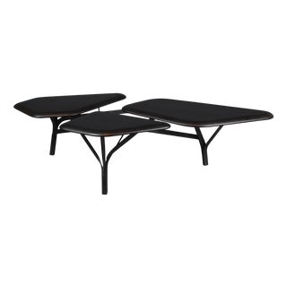 Borghese Coffee Table by Noé Duchaufour-Lawrance, 2017 For Sale