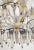 Large Venetian Belle Epoque Style Glass & Gilt 24-Bulb Chandeliers, 1970s, Set of 2 For Sale - Image 15 of 18
