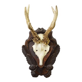 Antique Black Forest Red Deer Trophy on Carved Plaque Ca. 1930s For Sale