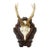 Antique Black Forest Red Deer Trophy on Carved Plaque Ca. 1930s For Sale