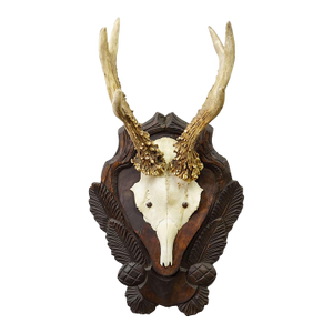 Antique Black Forest Red Deer Trophy on Carved Plaque Ca. 1930s