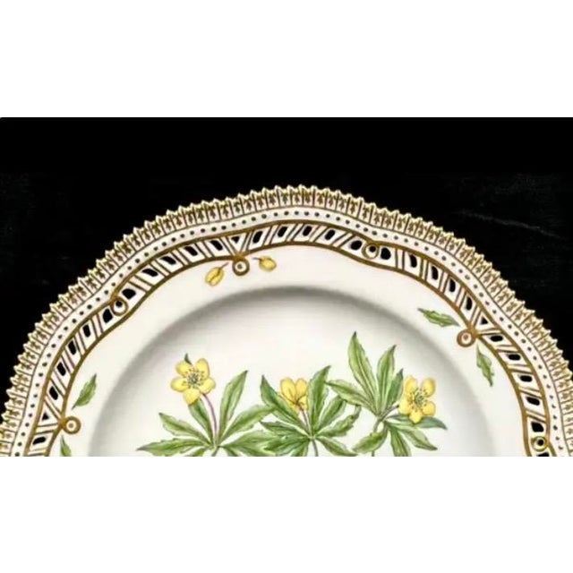 Royal Copenhagan Royal Copenhagen Flora Danica Plate, Anemone Ranunculoides L, Gilt Border For Sale - Image 4 of 8