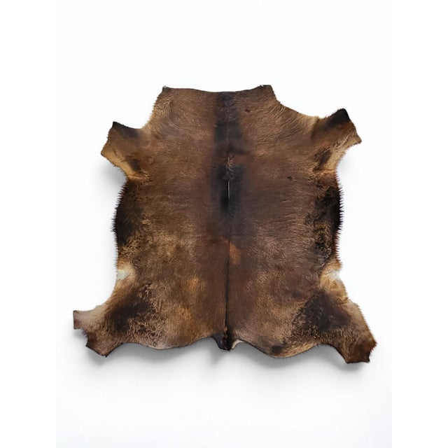 Vintage Rug in Cowhide, 1970s For Sale - Image 9 of 9
