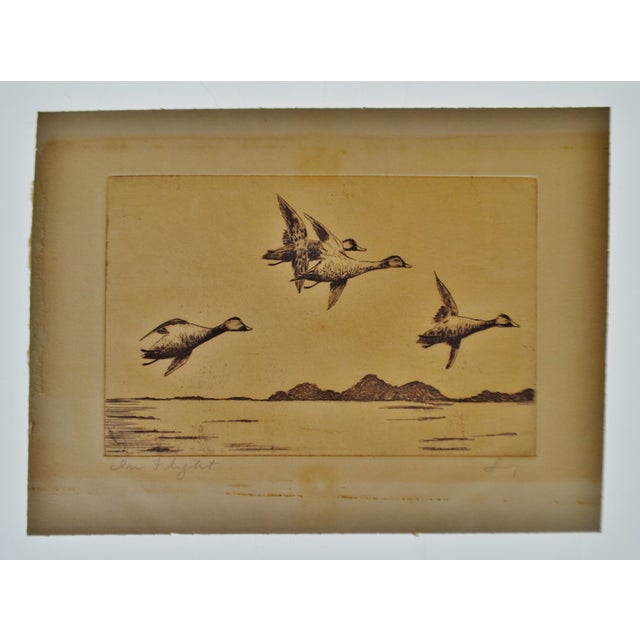 Early Signed Engraving - in Flight | Chairish