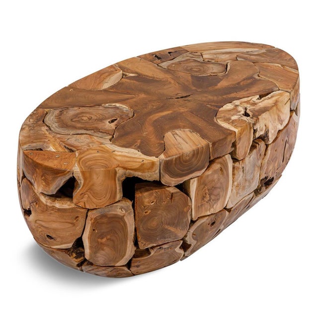 Oval Teak Root Coffee Table For Sale - Image 4 of 5