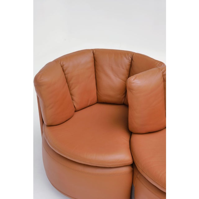 Vintage DS 800 Modular Sofa from de Sede, 1980s, Set of 3 For Sale - Image 4 of 10