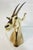 Vintage Mounted Antelope Taxidermy Wall Mount With Long Horns, Estate Find For Sale - Image 4 of 18