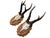 Cabin Pair Roe Deer Trophies 151 Black Forest Antlers Mount For Sale - Image 3 of 5