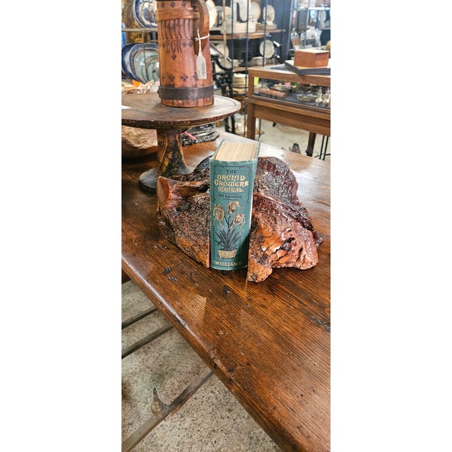 Pair of 1940s Tiger Eye Burl Wood Bookends For Sale - Image 4 of 4