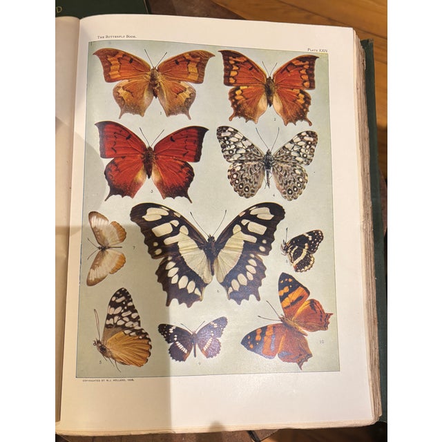 1900 - 1909 Early 1900s W..j. Holland Butterfly & Moth Books - Illustrated Natural History Volumes, GreenColth Set of 2 For Sale - Image 5 of 7