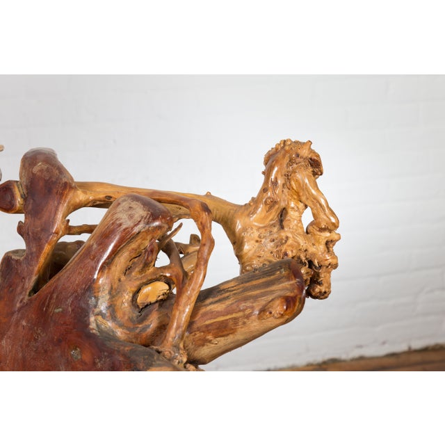 Mid 20th Century Vintage Chinese Hand Crafted Camphor Wood Root Chair with Light Varnish For Sale - Image 5 of 12