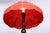 1920s Czech Art Deco Floor Lamp in Beech, 1920s For Sale - Image 5 of 11
