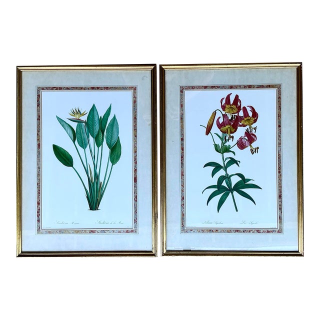 Vintage Ehret Botanical Prints - Set of 2 For Sale