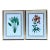 Vintage Ehret Botanical Prints - Set of 2 For Sale