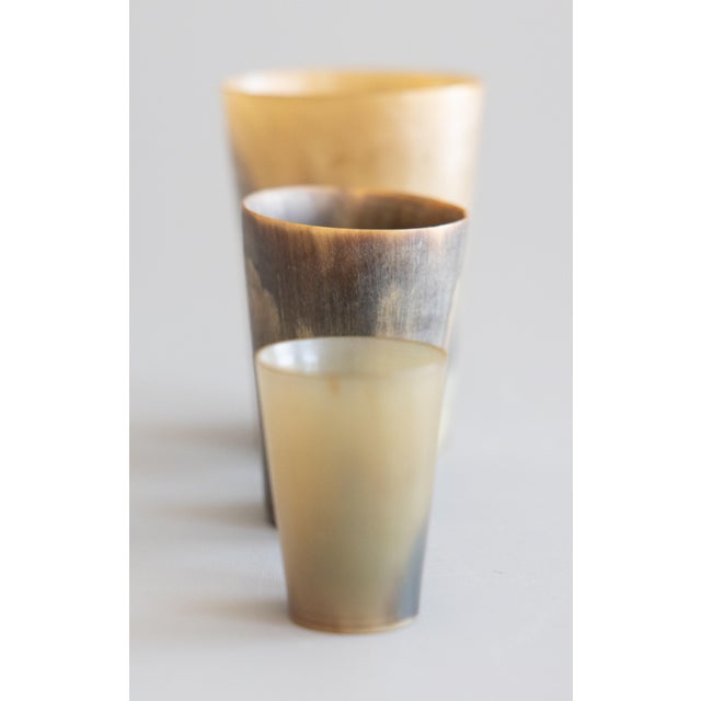 Bone Antique 19th Century English Horn Stirrup Cups - Set of 3 For Sale - Image 7 of 8