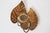 Gilt Monstera Wall Lamp with Double Leaf from Maison Jansen, France, 1970s For Sale - Image 4 of 15