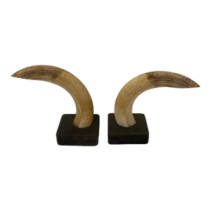 Pair of Natural Hippopatomus Teeth Mounted Bookends, Turn-Of-The-Century