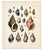 Traditional Purpura & Buccinum Shells | Original Hand-Colored Shell Engraving – Captain Thomas Brown, Plate IV | C. 1840 For Sale - Image 3 of 3