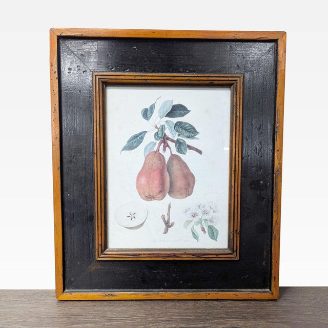 Set of 3 Framed Botanical Fruit Prints – Classic Wall Art Decor For Sale - Image 4 of 7