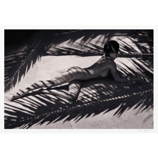 Fine Art Photograph | Signed Original Limited Edition of 5 | "Basking in Shadow" Contemporary Figurative Nude Woman by Aaron Knight For Sale