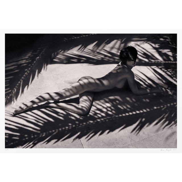 Fine Art Photograph | Signed Original Limited Edition of 5 | "Basking in Shadow" Contemporary Figurative Nude Woman by Aaron Knight For Sale