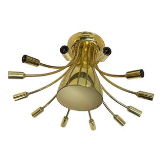 Vintage Mid-Century Modern 13 Light Brass Light For Sale