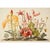 A beautifully curated set of four framed botanical prints reproduced from original botanical watercolors dating from the...