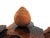 Mid-Century Organic Burl Wood Pedestal Stand & Fine Etched Pyrography Gourds - Set of 3 For Sale - Image 10 of 18