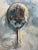 Horseshoe crabs have always fascinated me. I love finding them live on the beach, they are responsive to human touch and...