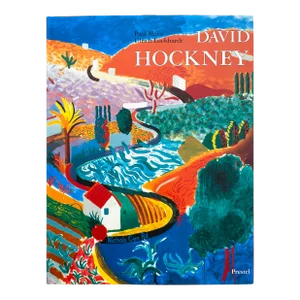 " David Hockney Paintings " Vintage 1994 First Edition Lithograph Print Hardcover Pop Art Book