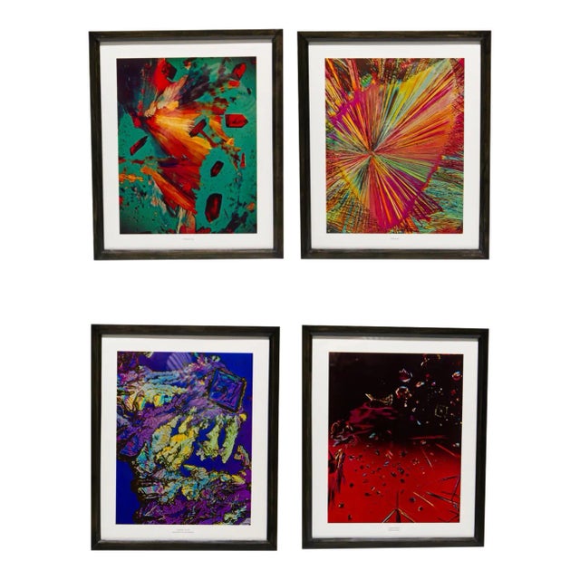 Scientific Photomicrography Prints by Jack Kath Set of 4 For Sale
