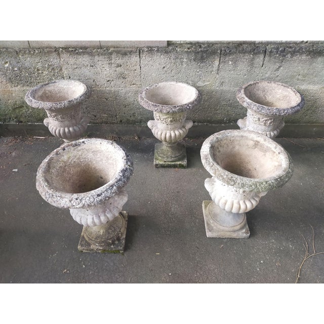 White Medici-Style Garden Pot in Reconstituted Stone, 1960s For Sale - Image 8 of 12