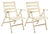 Set of Outdoor Folding Armchairs, 1960s For Sale