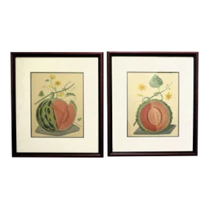 Rare Pair of George Brookshaw (1751-1823) Melon Engravings Botanical Fruit Prints Antique