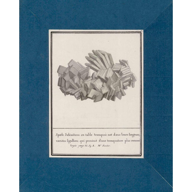Reproduction Antique Mineral Specimen Folio Prints | Set of 12 | 16" X 20" For Sale - Image 4 of 11