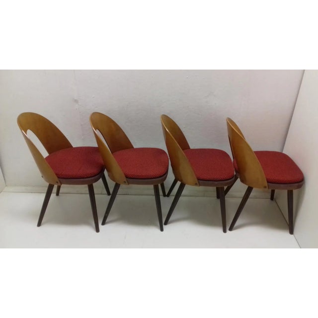 Dining Chairs by Antonín Šuman, 1960s, Set of 4 For Sale - Image 10 of 11