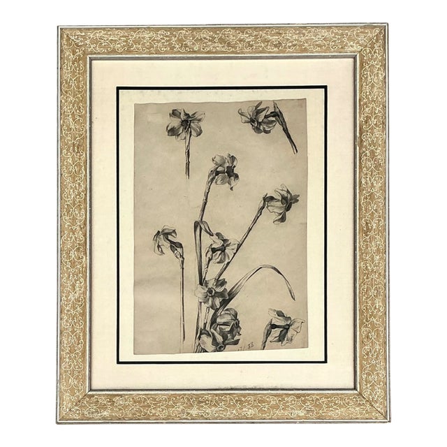 Framed Botanical Drawing With Gold Detailing For Sale