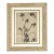 Framed Botanical Drawing With Gold Detailing For Sale