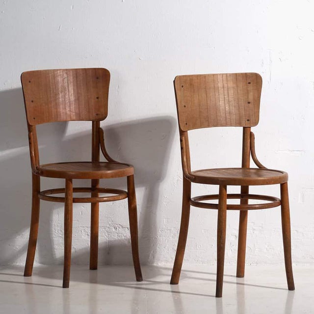 Set of Chairs from Thonet, 1900s For Sale - Image 13 of 13