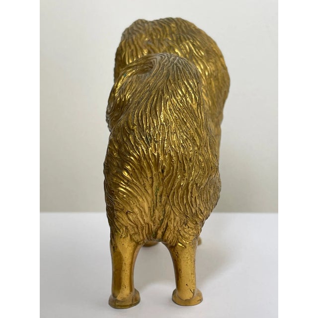 Small Traditional Early 20th Century English Gilt Bronze Spitz Dog Car Mascot Figurine For Sale - Image 4 of 12