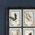 20th Century Italian Large Oak Frame with Pressed Flowers and Herbs For Sale - Image 5 of 18