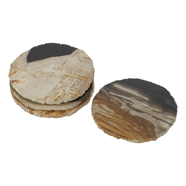 Plover 4" Petrified Wood Coasters, Set of 4 For Sale