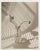 Drawing/Sketching Materials James Ware Pitts - Two Ranunculus on Curved, Striped Background, 1994 Signed For Sale - Image 7 of 8