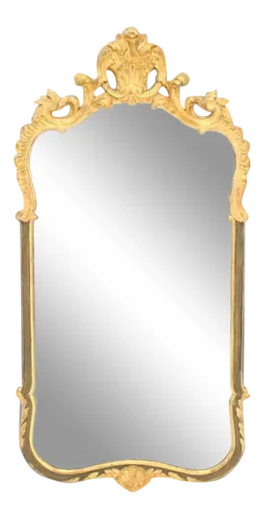 Early 20th Century Carved Wood Gold Guild Rococo Style Mirror