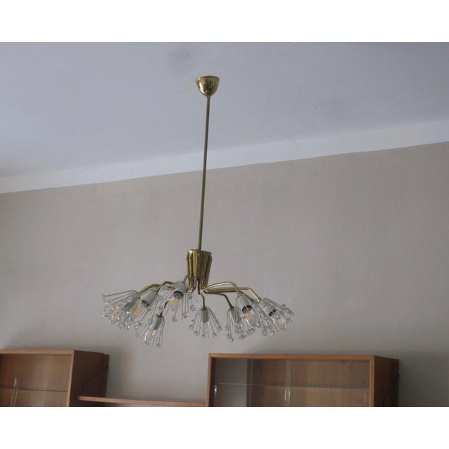 Metal Vintage Austrian Elliptical Brass and Glass Chandelier, 1950s For Sale - Image 7 of 15